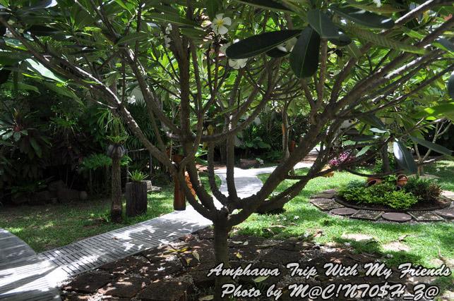 DSC_0910_resize.jpg